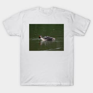 Great Crested Grebe T-Shirt